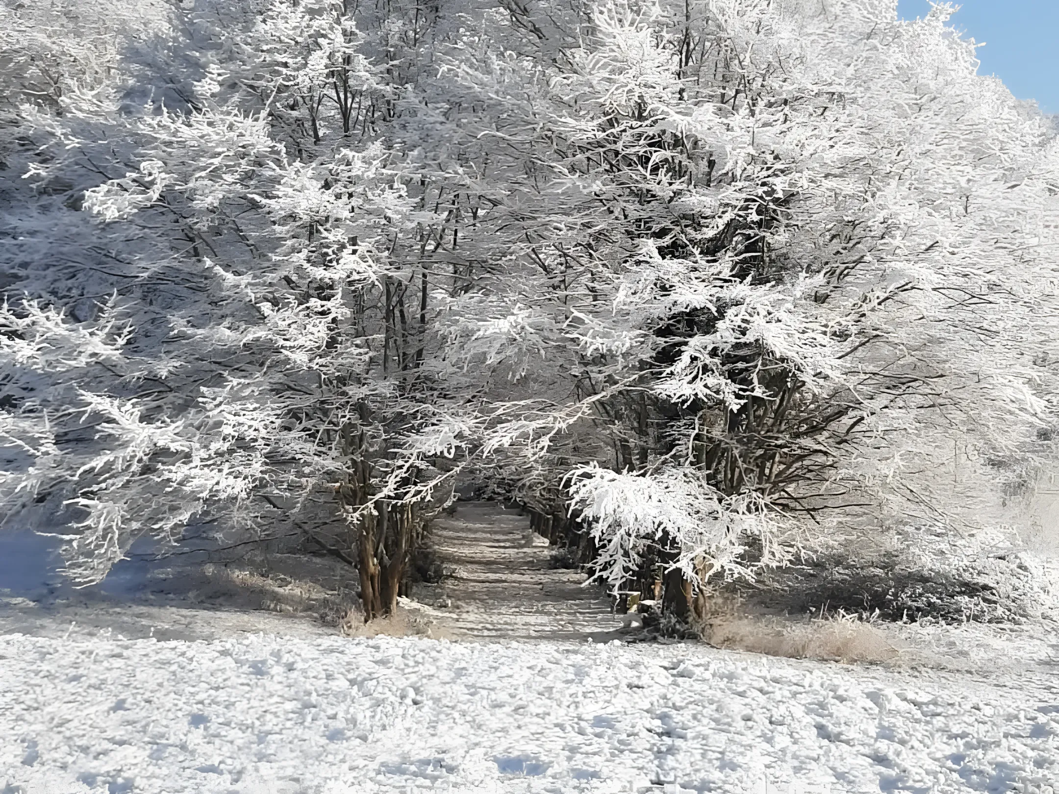 Château de Beauchamp — chemin neige foret