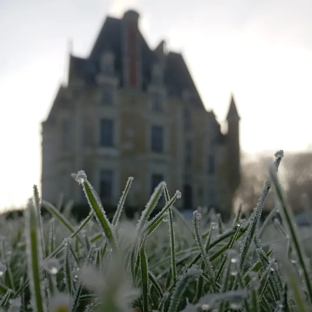 Château de Beauchamp — givre herbes matin