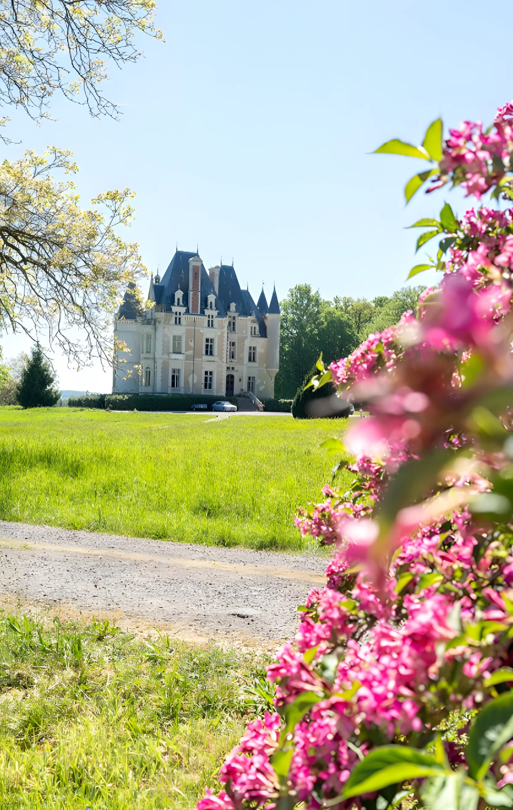 Château de Beauchamp — printemps fleurs roses
